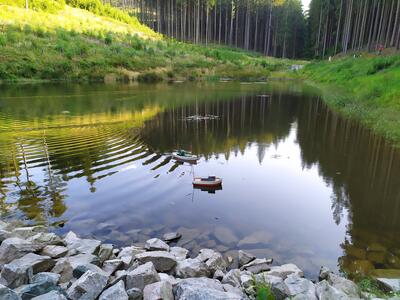 20250814 JC IMG 20250814 173518